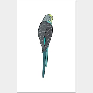 Blue Budgie Posters and Art